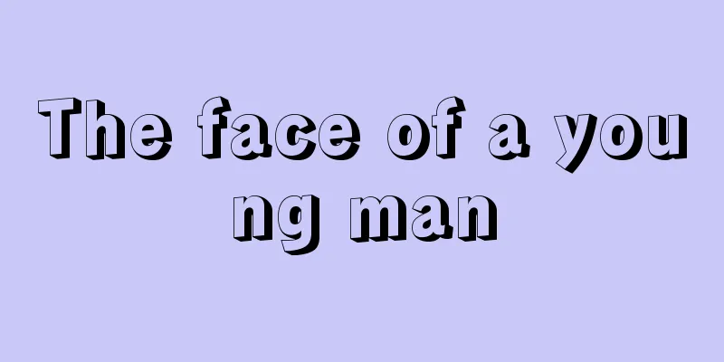 The face of a young man