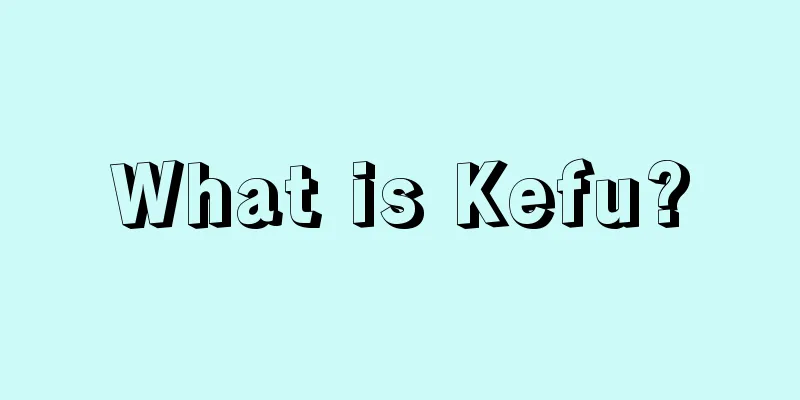 What is Kefu?