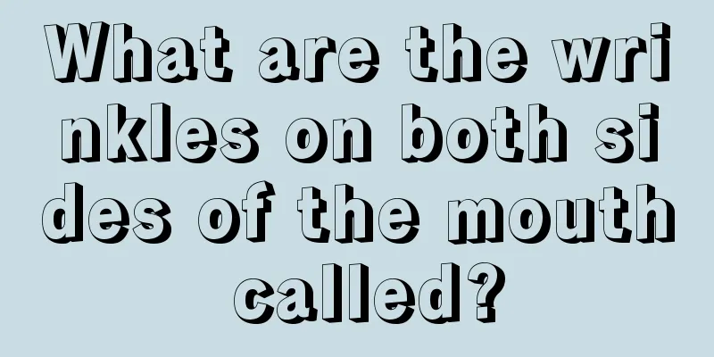 What are the wrinkles on both sides of the mouth called?