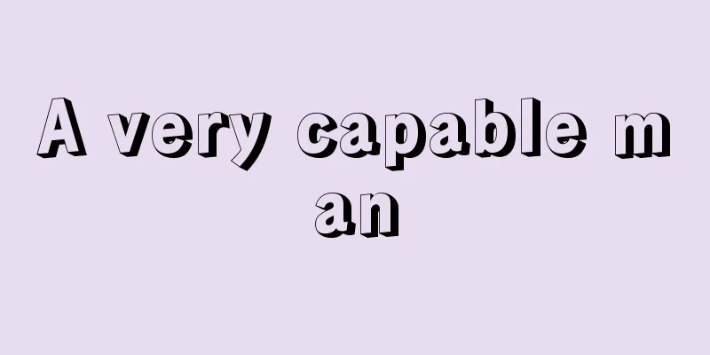 A very capable man