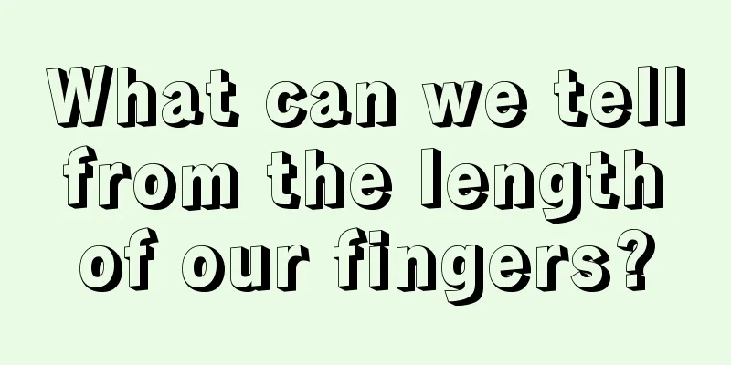 What can we tell from the length of our fingers?