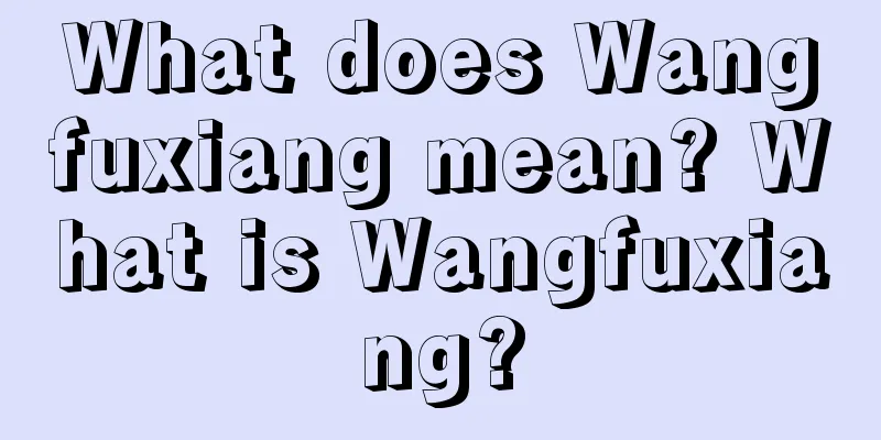 What does Wangfuxiang mean? What is Wangfuxiang?