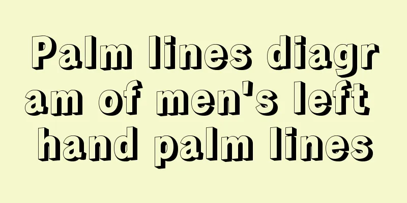 Palm lines diagram of men's left hand palm lines