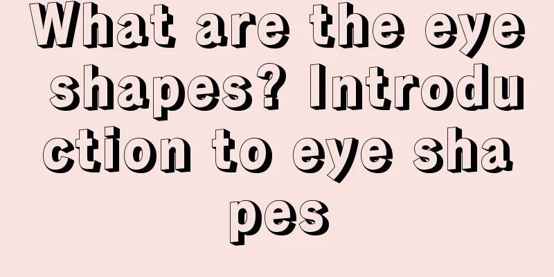 What are the eye shapes? Introduction to eye shapes