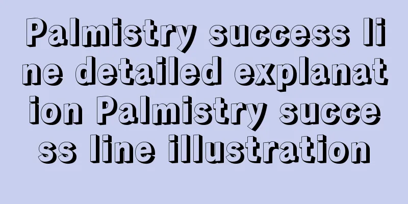 Palmistry success line detailed explanation Palmistry success line illustration