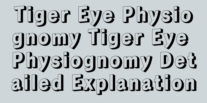 Tiger Eye Physiognomy Tiger Eye Physiognomy Detailed Explanation