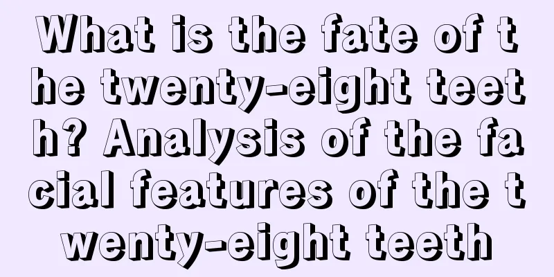 What is the fate of the twenty-eight teeth? Analysis of the facial features of the twenty-eight teeth