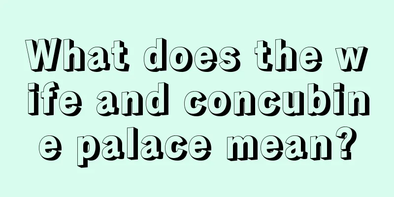 What does the wife and concubine palace mean?