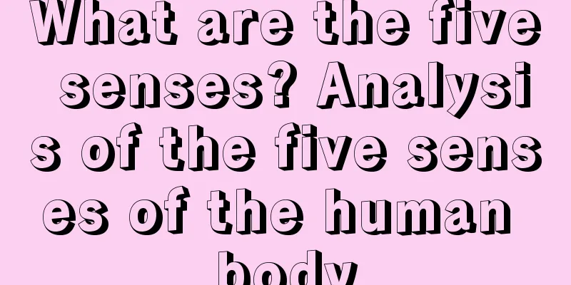 What are the five senses? Analysis of the five senses of the human body