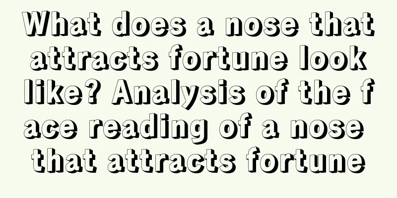 What does a nose that attracts fortune look like? Analysis of the face reading of a nose that attracts fortune
