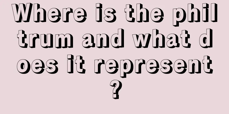 Where is the philtrum and what does it represent?