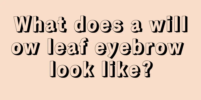 What does a willow leaf eyebrow look like?