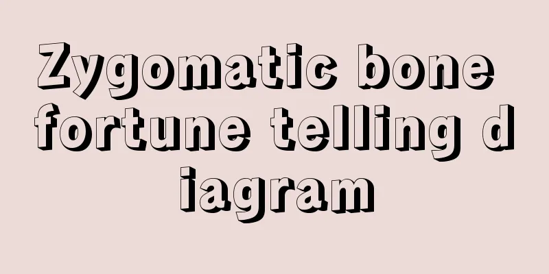 Zygomatic bone fortune telling diagram