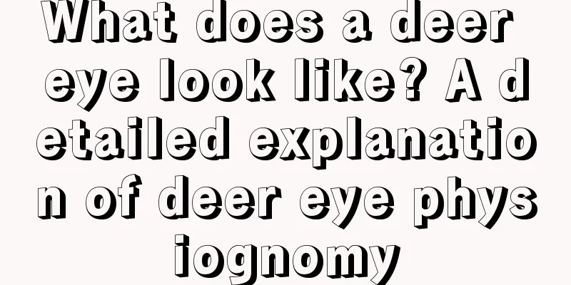 What does a deer eye look like? A detailed explanation of deer eye physiognomy