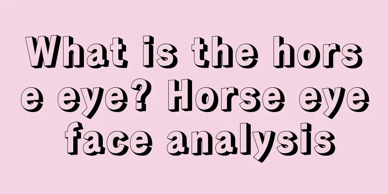 What is the horse eye? Horse eye face analysis