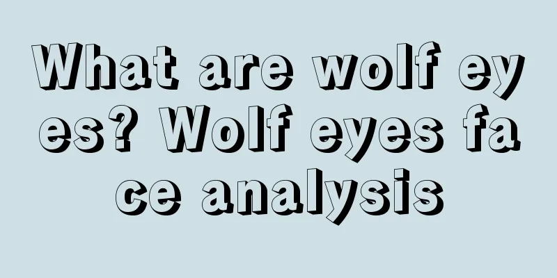 What are wolf eyes? Wolf eyes face analysis