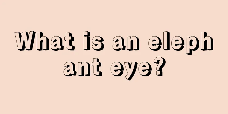 What is an elephant eye?