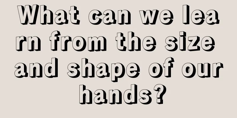 What can we learn from the size and shape of our hands?