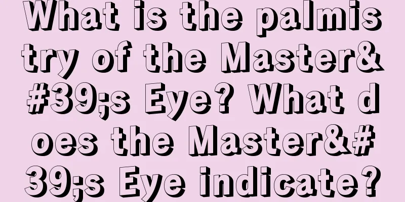 What is the palmistry of the Master's Eye? What does the Master's Eye indicate?