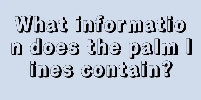What information does the palm lines contain?