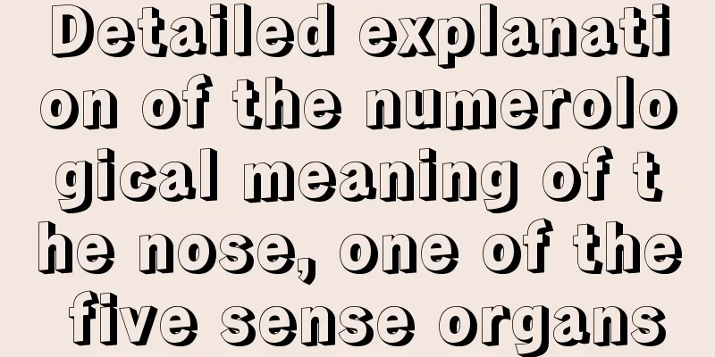 Detailed explanation of the numerological meaning of the nose, one of the five sense organs