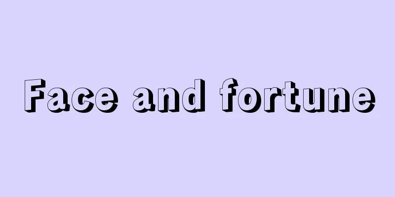 Face and fortune