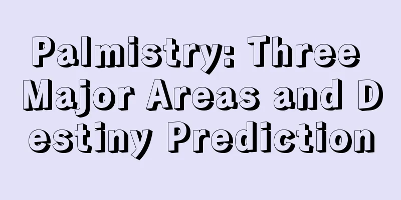 Palmistry: Three Major Areas and Destiny Prediction
