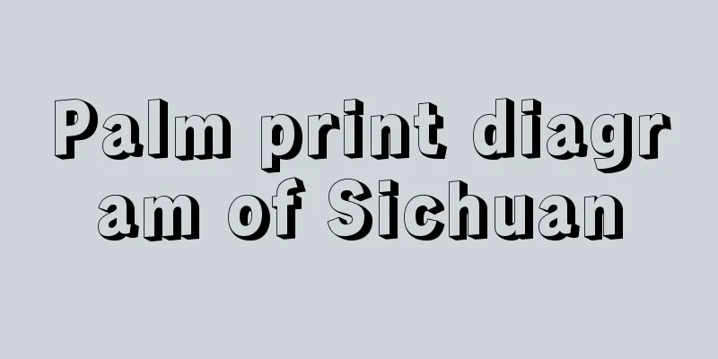 Palm print diagram of Sichuan