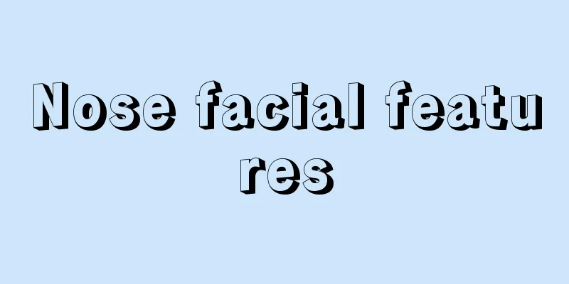 Nose facial features
