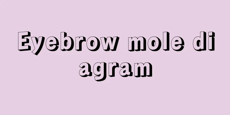 Eyebrow mole diagram