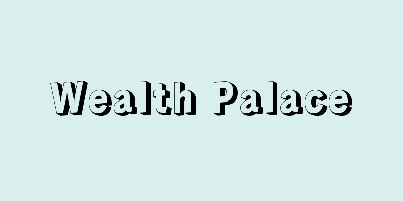 Wealth Palace