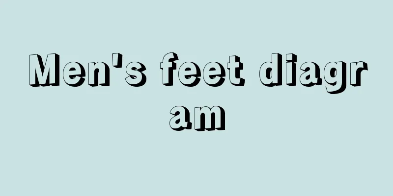 Men's feet diagram
