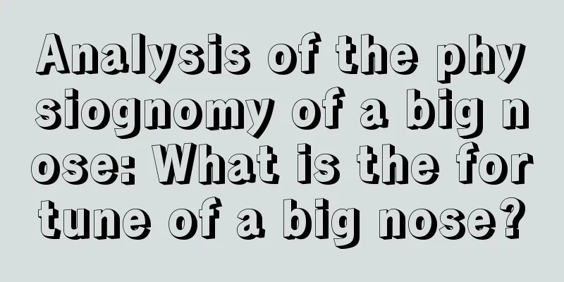 Analysis of the physiognomy of a big nose: What is the fortune of a big nose?
