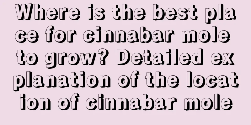 Where is the best place for cinnabar mole to grow? Detailed explanation of the location of cinnabar mole