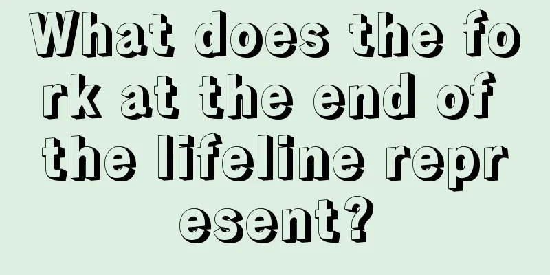 What does the fork at the end of the lifeline represent?