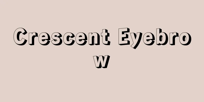 Crescent Eyebrow