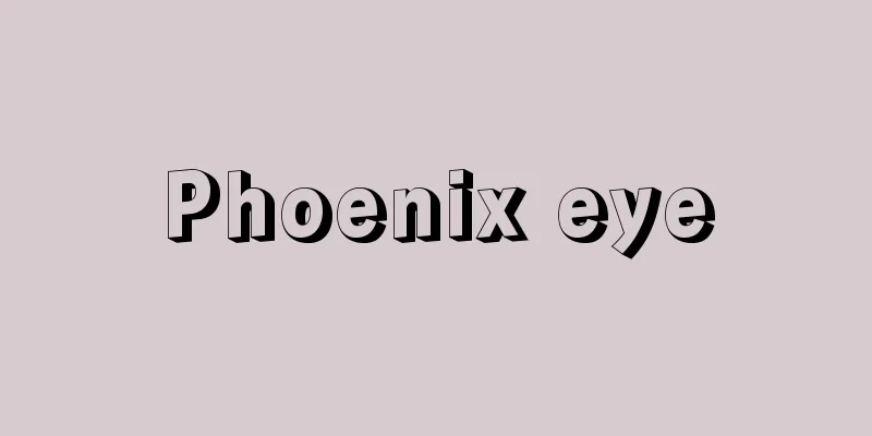 Phoenix eye