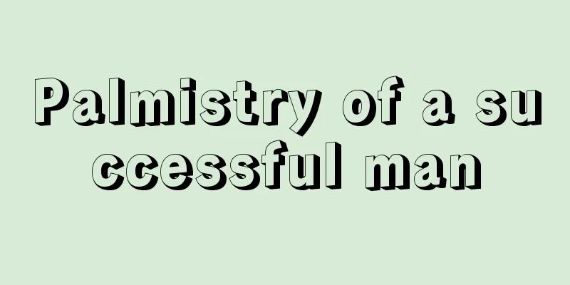 Palmistry of a successful man