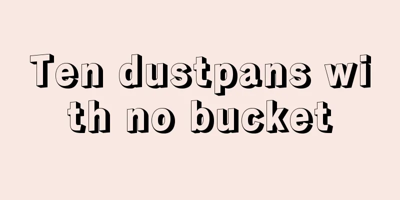 Ten dustpans with no bucket