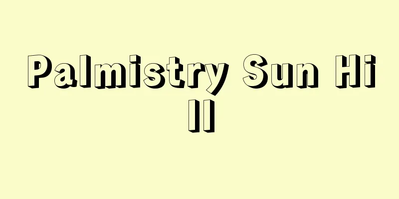 Palmistry Sun Hill
