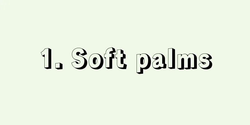 1. Soft palms