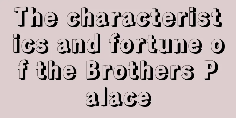 The characteristics and fortune of the Brothers Palace