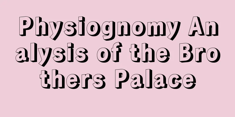 Physiognomy Analysis of the Brothers Palace