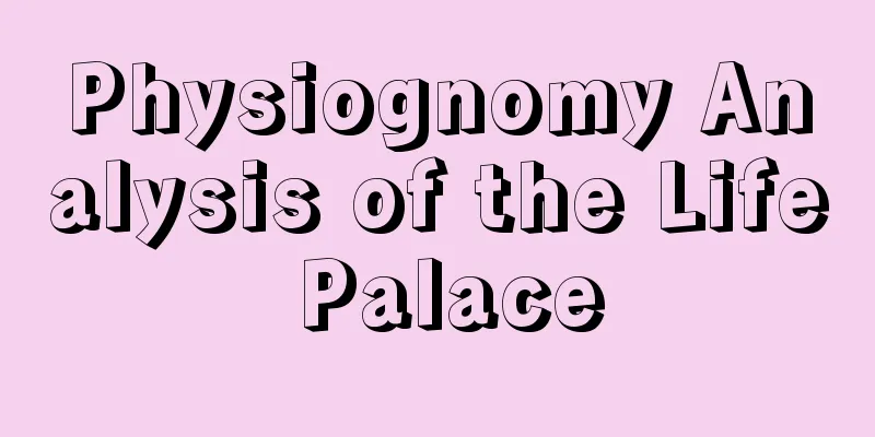 Physiognomy Analysis of the Life Palace