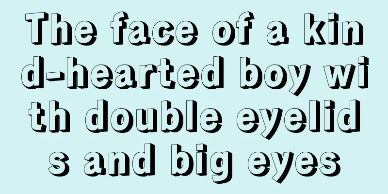The face of a kind-hearted boy with double eyelids and big eyes