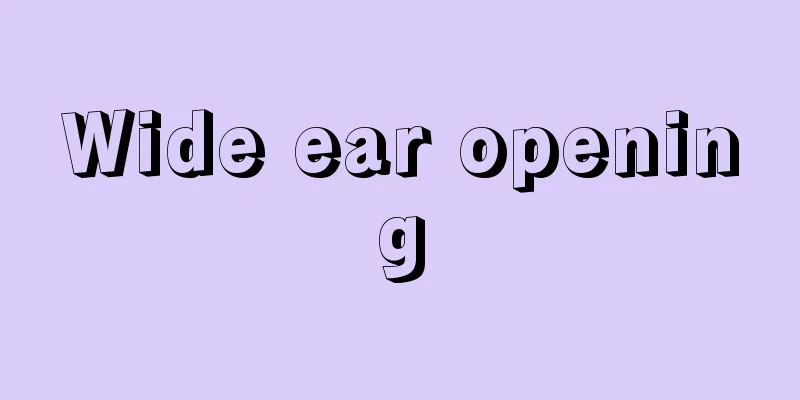 Wide ear opening