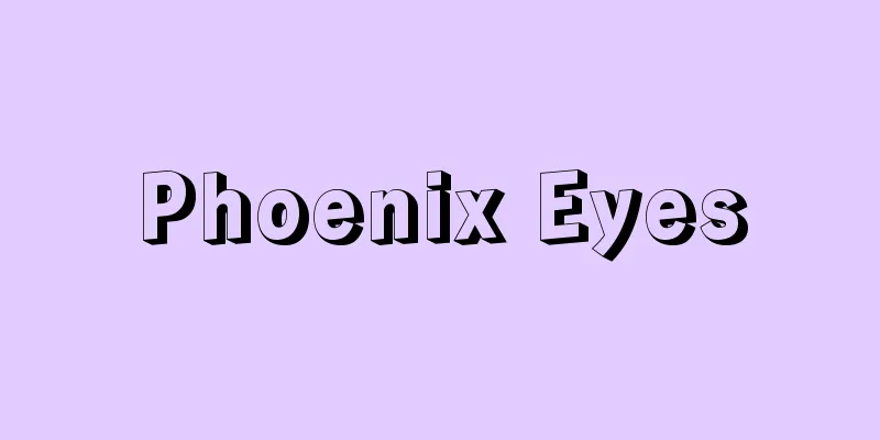Phoenix Eyes