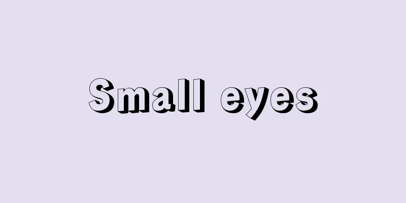 Small eyes