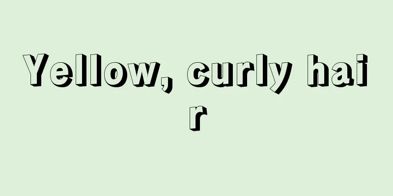 Yellow, curly hair