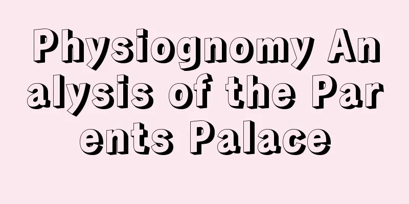 Physiognomy Analysis of the Parents Palace